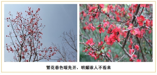 微信图片_20200321132831