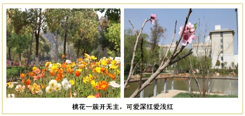 微信图片_20200321132838