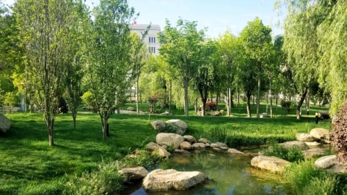 微信图片_20200508112538