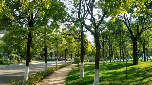 微信图片_20200508112543