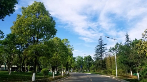 微信图片_20200508112545
