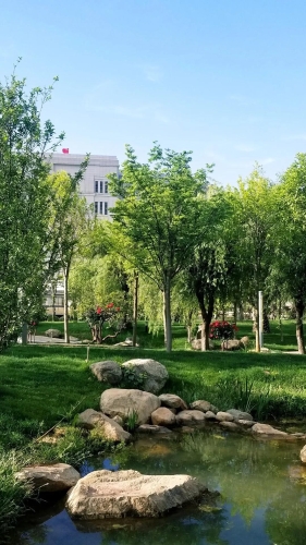 微信图片_20200508112624