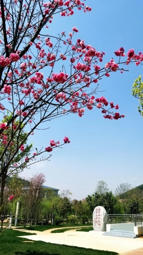 微信图片_20200508112645