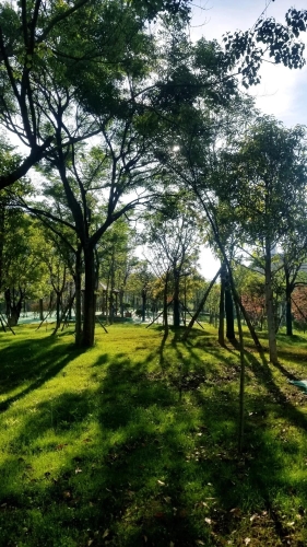 微信图片_20200508112659