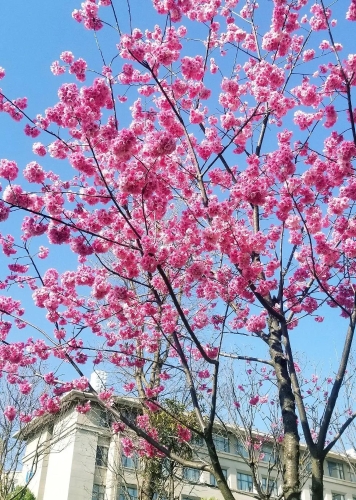 微信图片_20210407110013