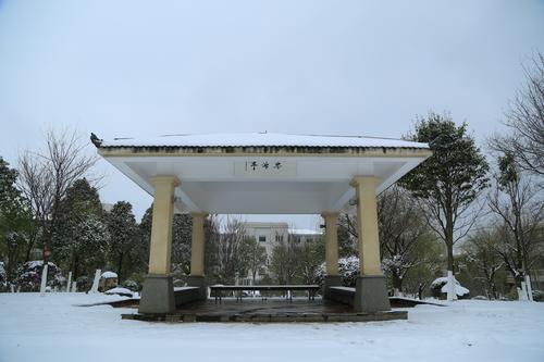 NH8A4705