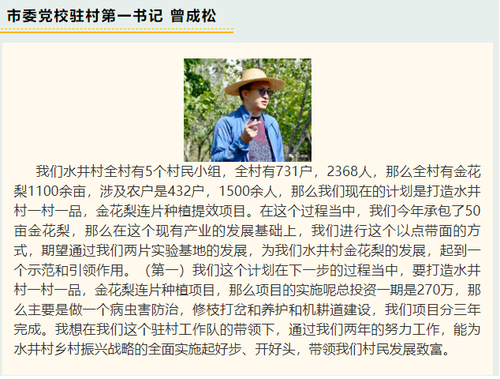 无标题