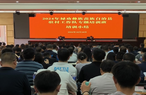 图片9