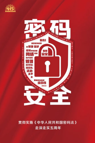 图片31
