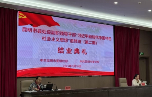 图片13 图片13